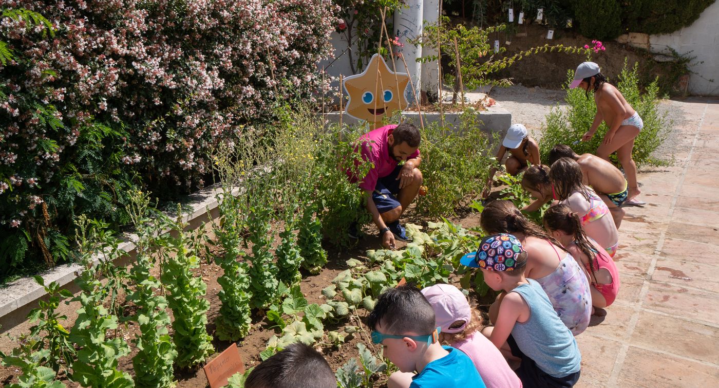 Medplaya-Hotel-Bali-Sports-and-Entertainment-54