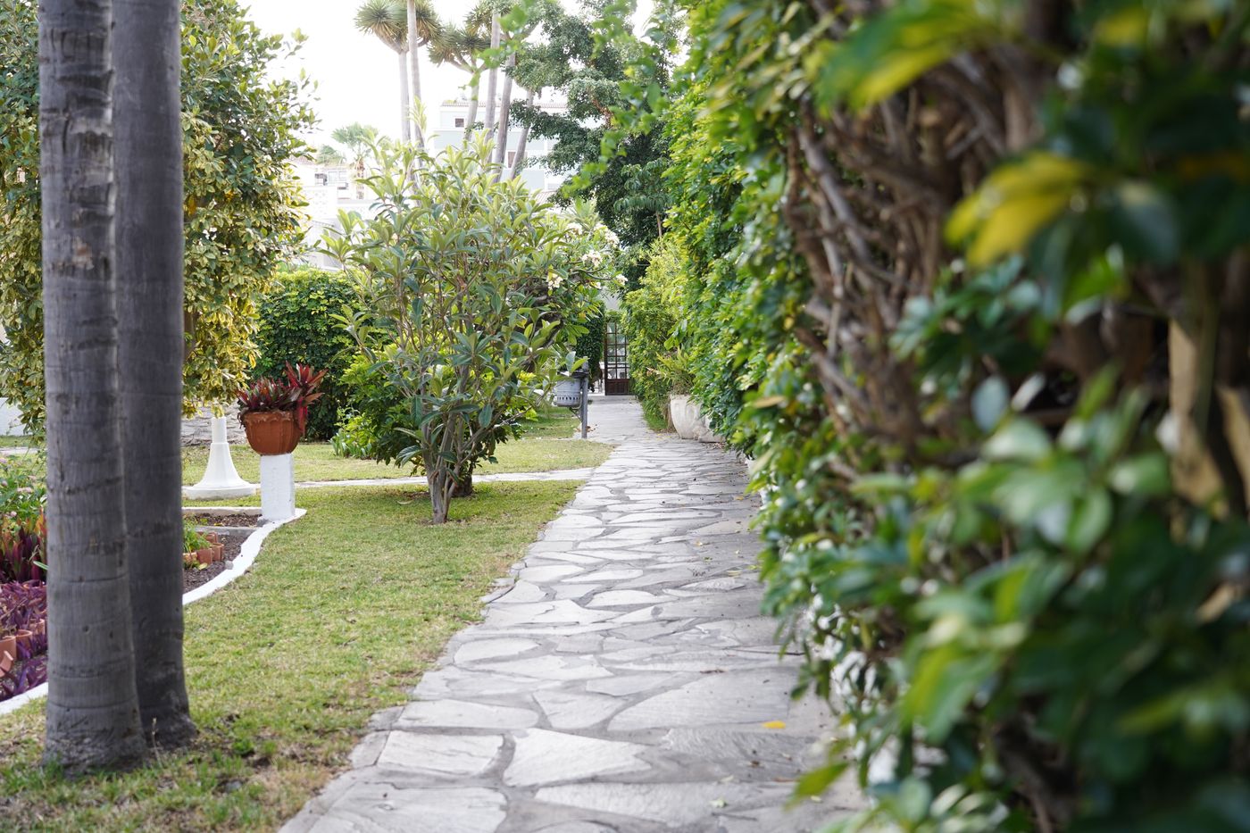 RF-San-Borondon-General-view-6