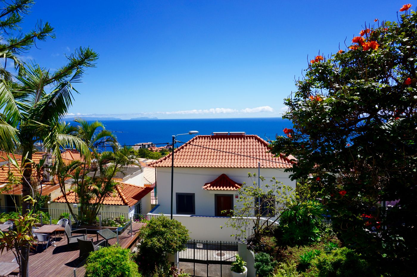 The-Flame-Tree-Madeira-Room-8