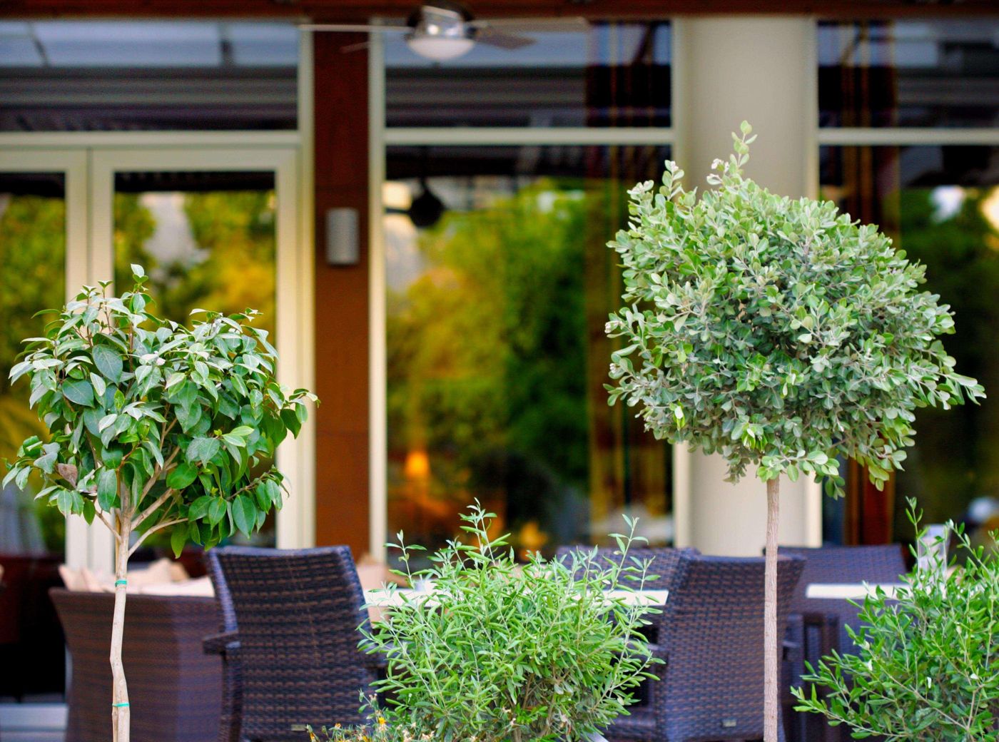 Ajax-Hotel-General-view-13