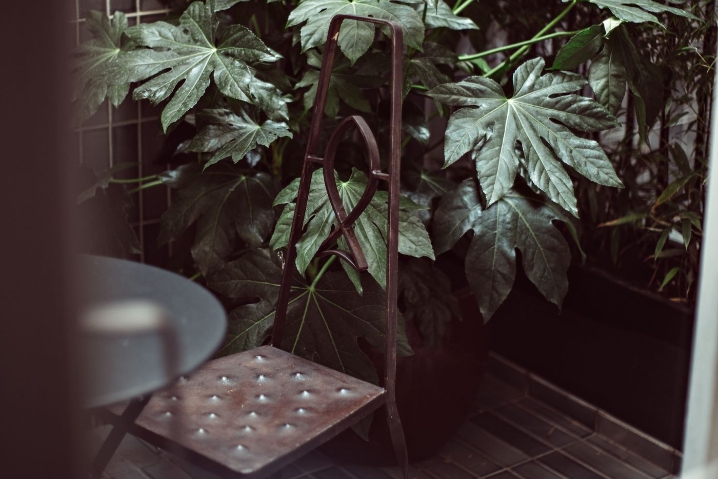 Academies-et-des-Arts-Room-5