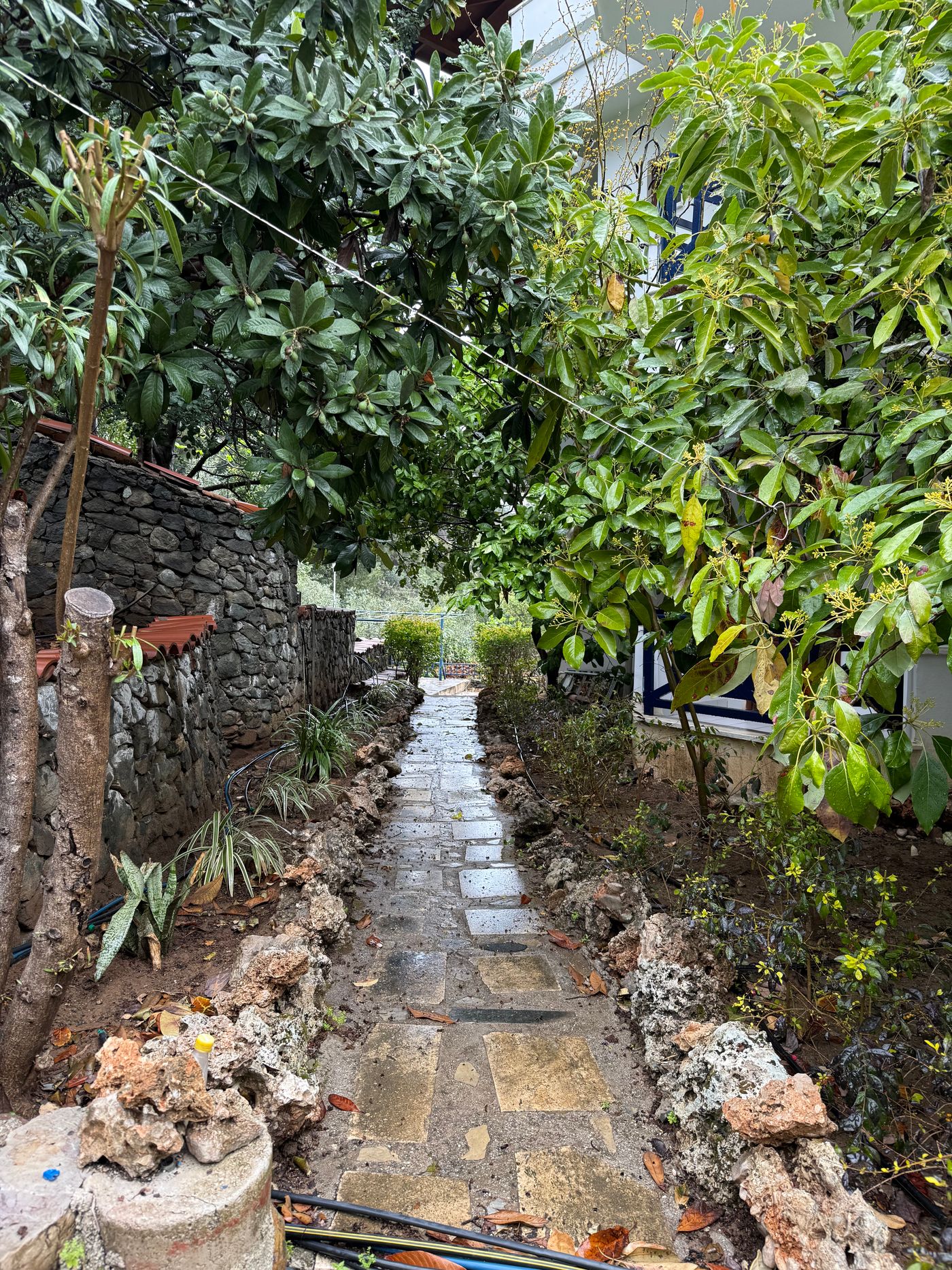 Naturella-General-view-30