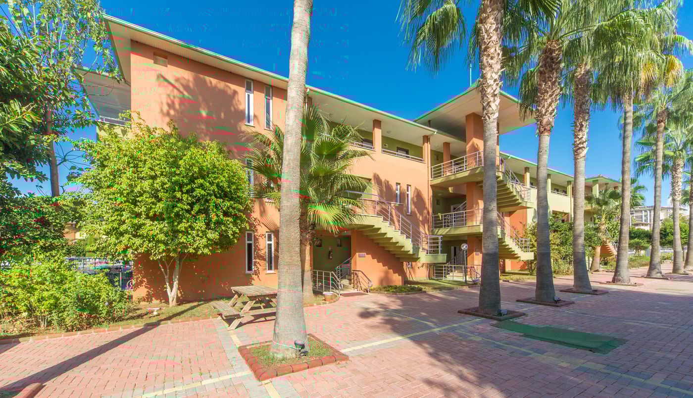 Lonicera--World-General-view-20