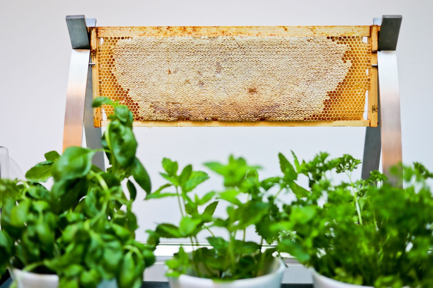 Friday-Hotel-Restaurant-3