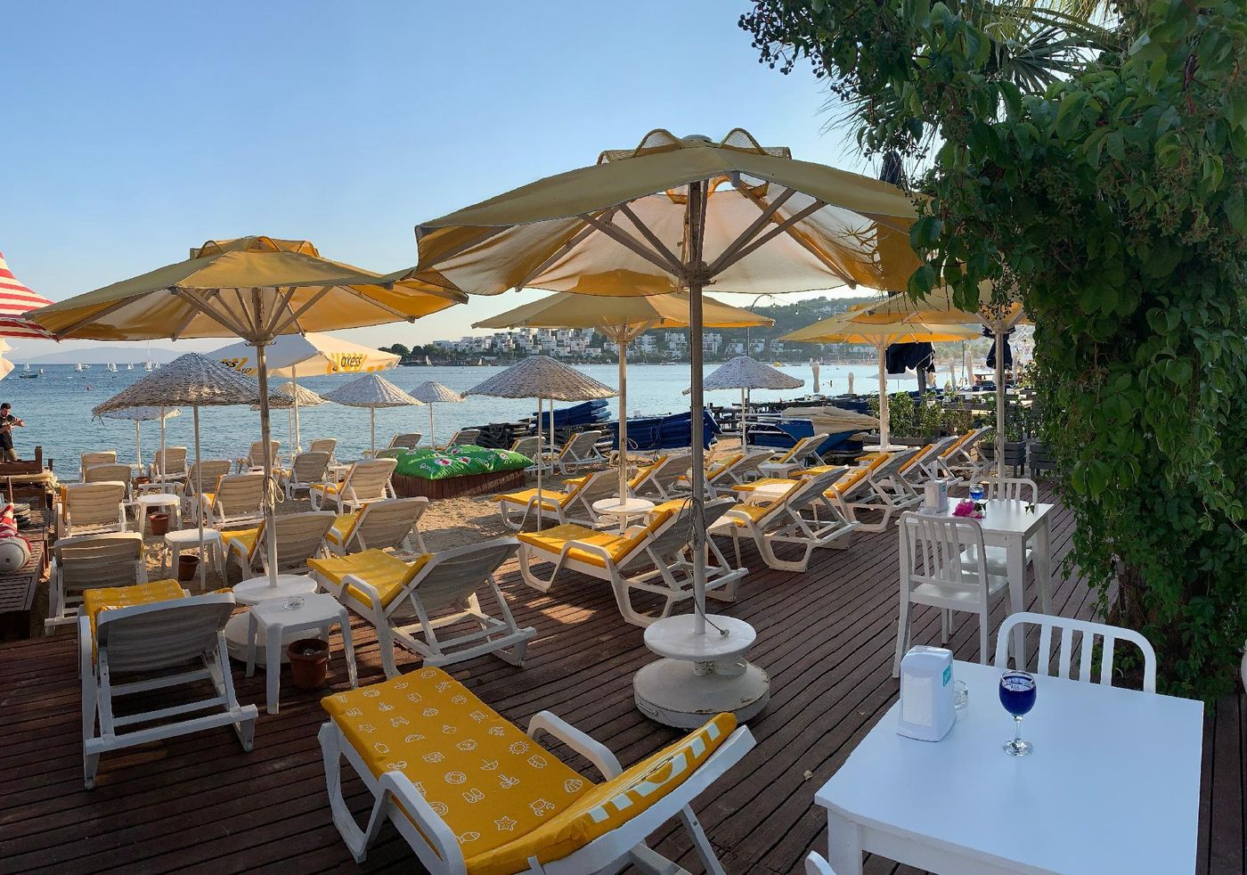 Bitez-Garden-Life-Beach-64