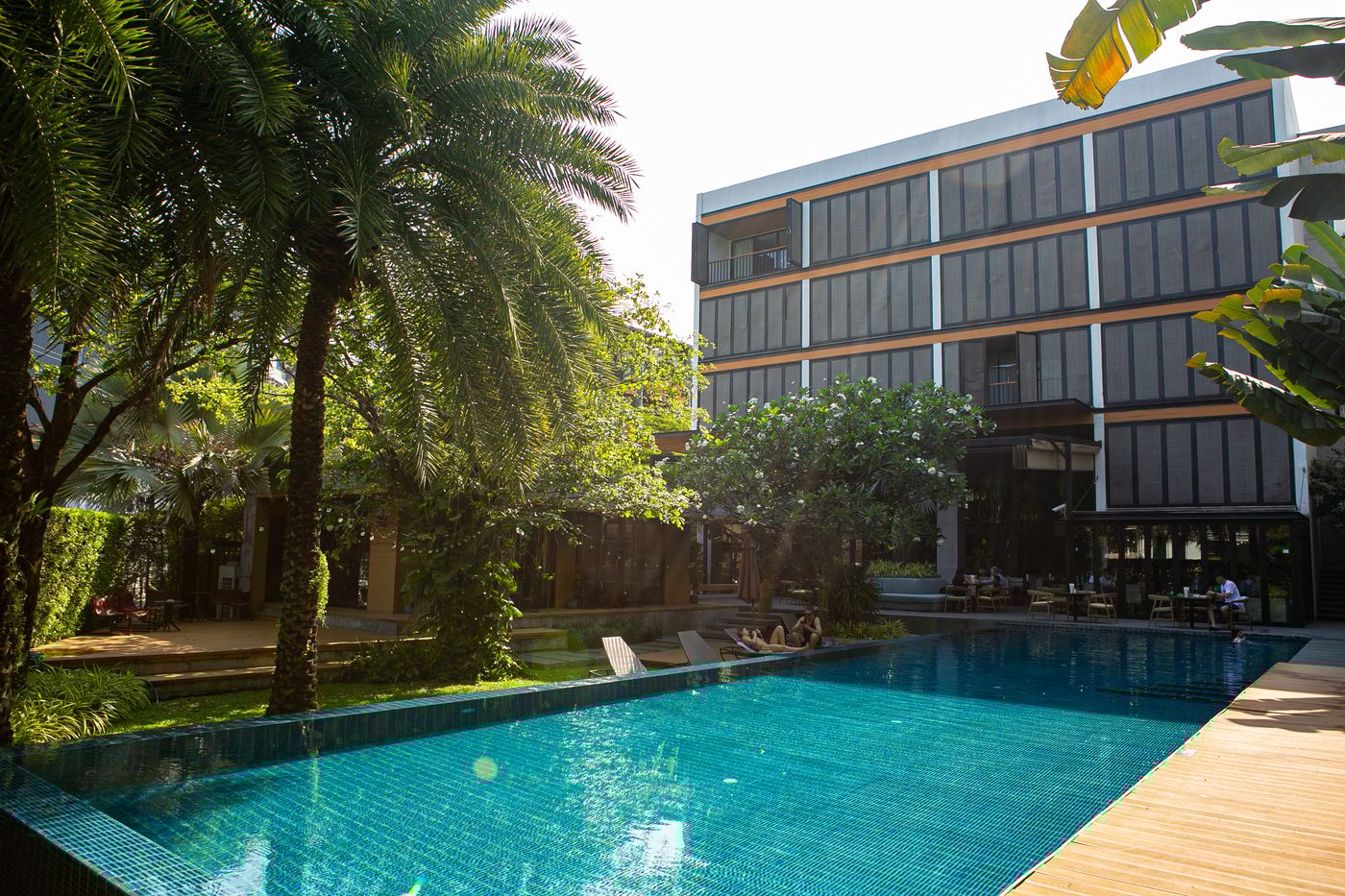 The-Silver-Palm-Wellness-Resort---Bangkok-Pool-3