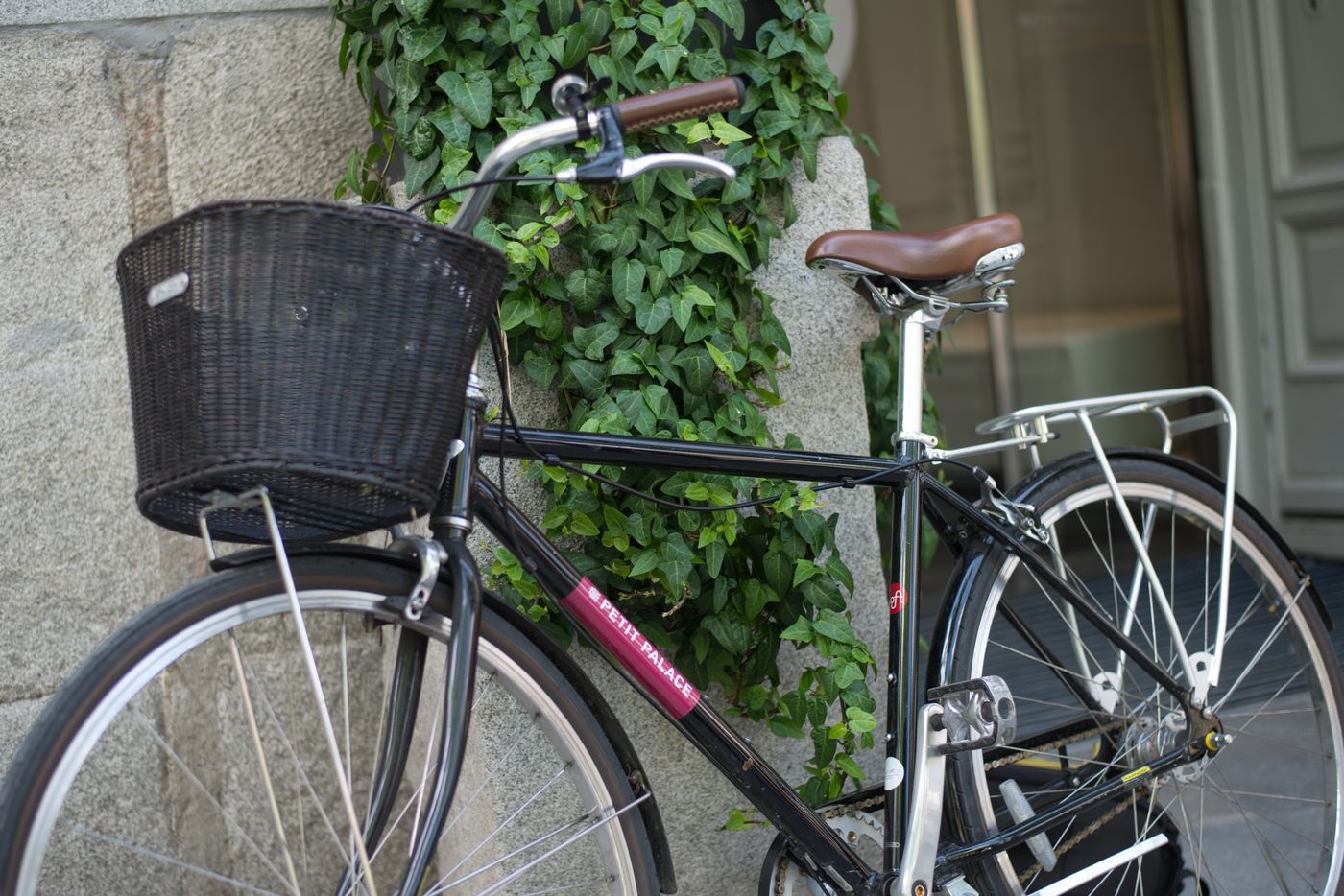 Petit-Palace-Santa-Barbara-Sports-and-Entertainment-55