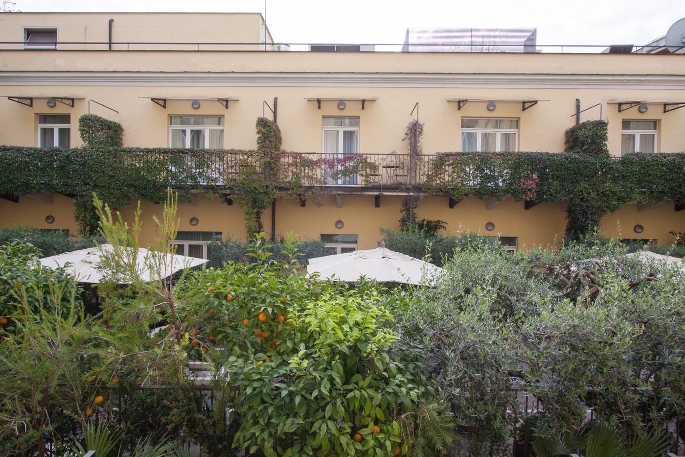 Ateneo-Garden-Palace-General-view-8