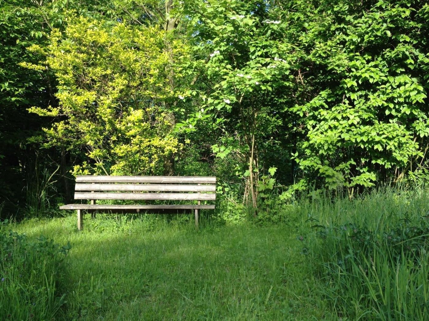 Apartmenthaus Somborn-Germany-BOCHUM-General view-5