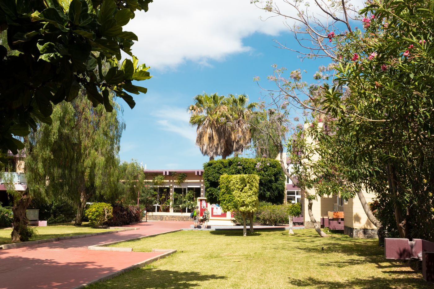 Hotel-Palia-Don-Pedro-General-view-15