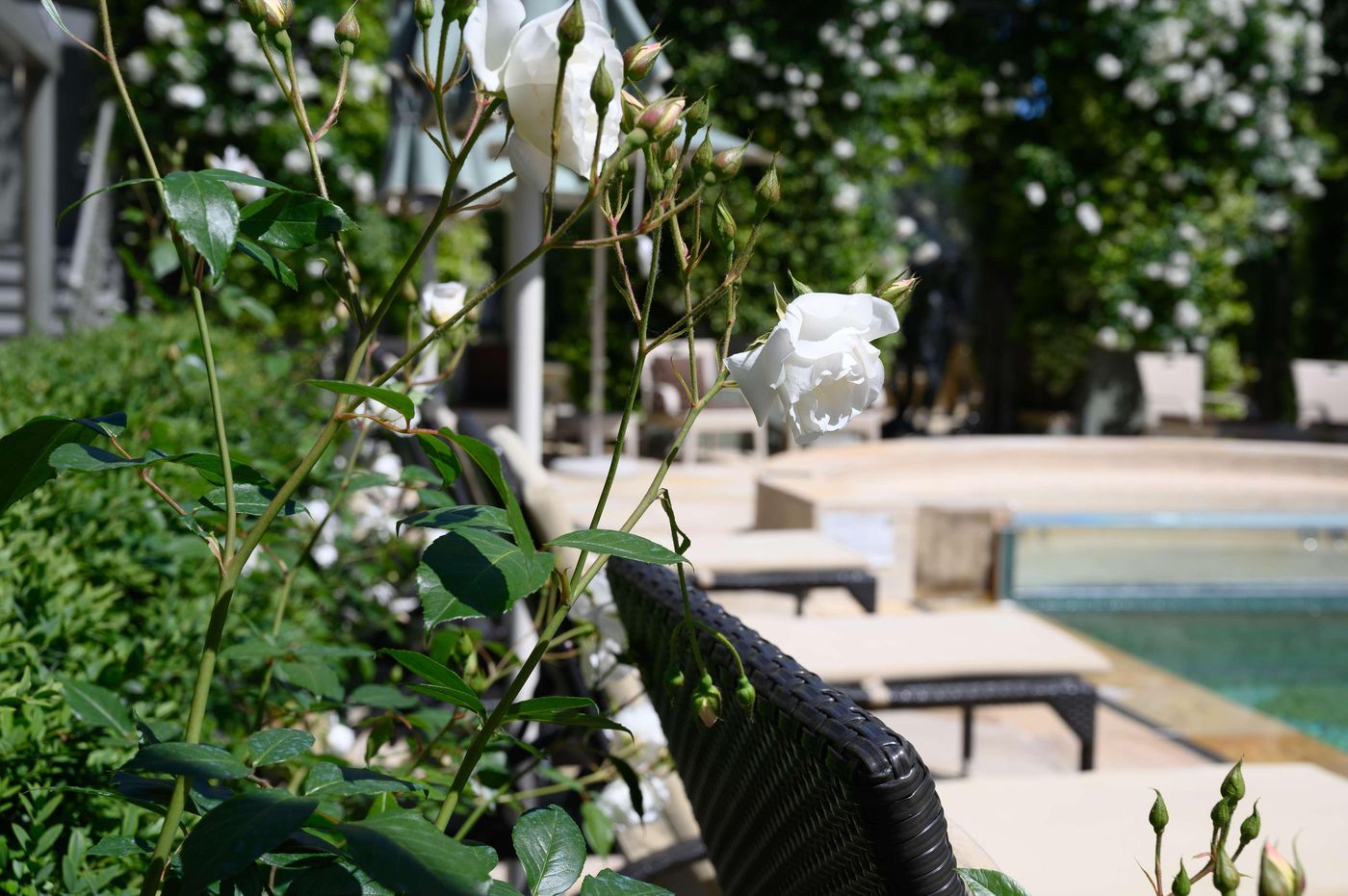 Ville-Sull-Arno-Pool-11