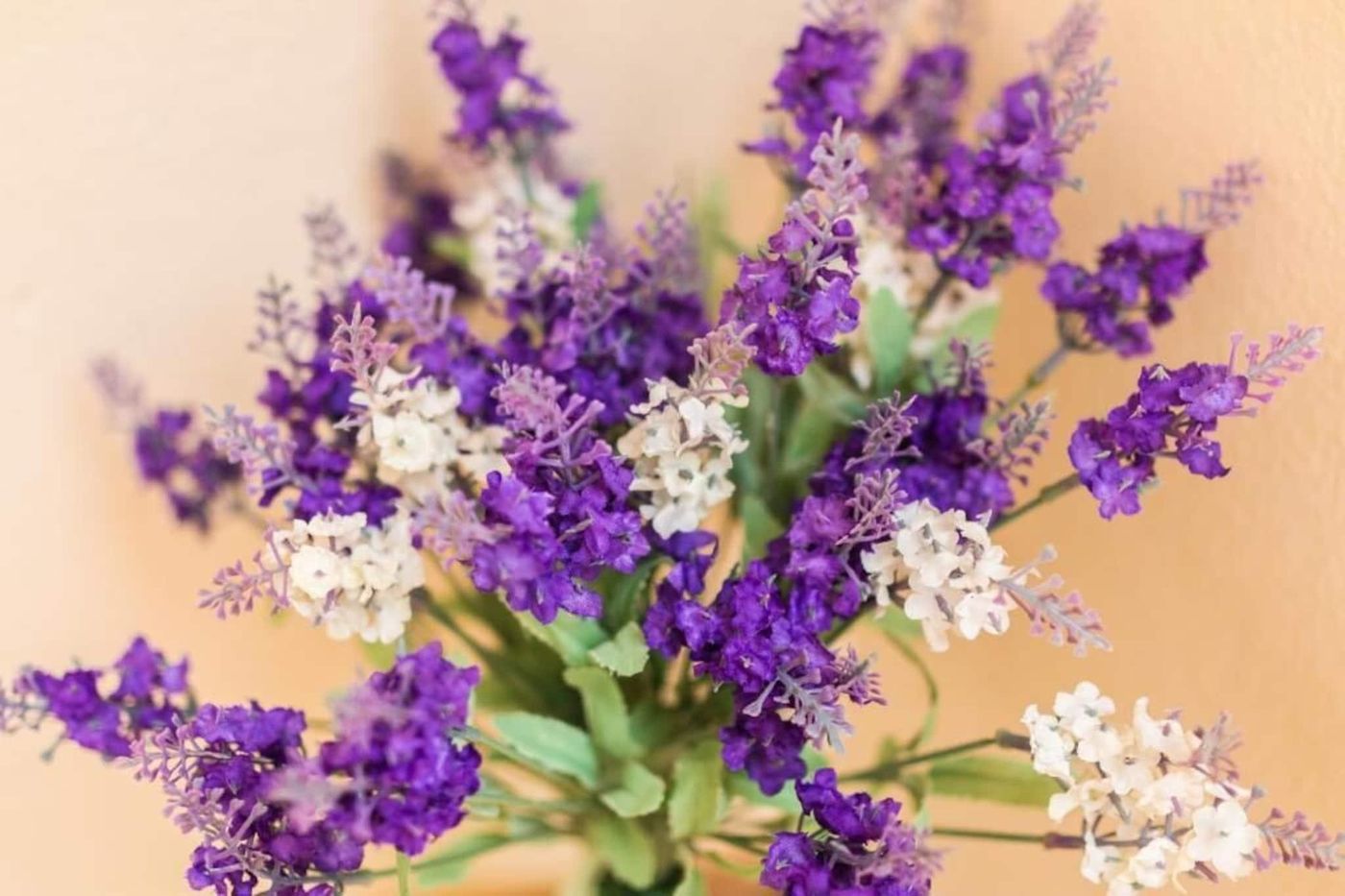 Casa Turistica La Torre-Spain-Cã³Rdoba-General view-8