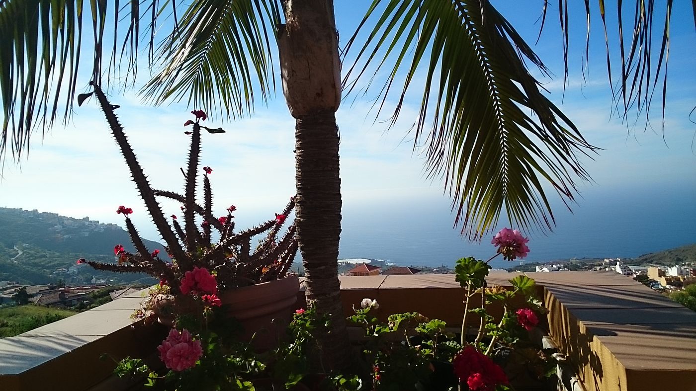 Estrella-Del-Norte-Terrace-44