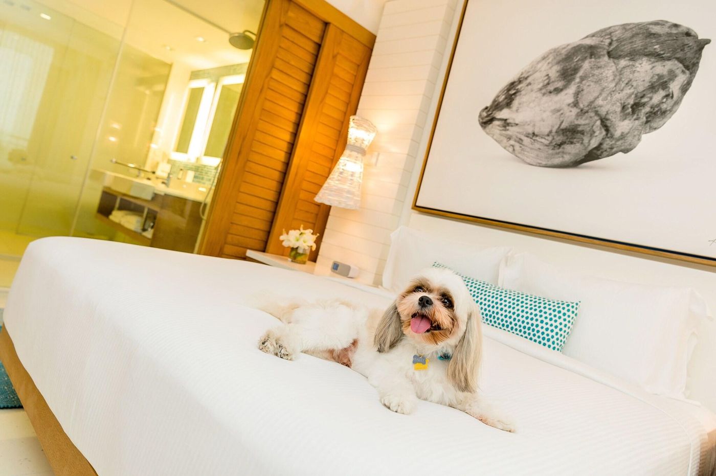 Grand-Hyatt-Baha-Mar-General-view-51