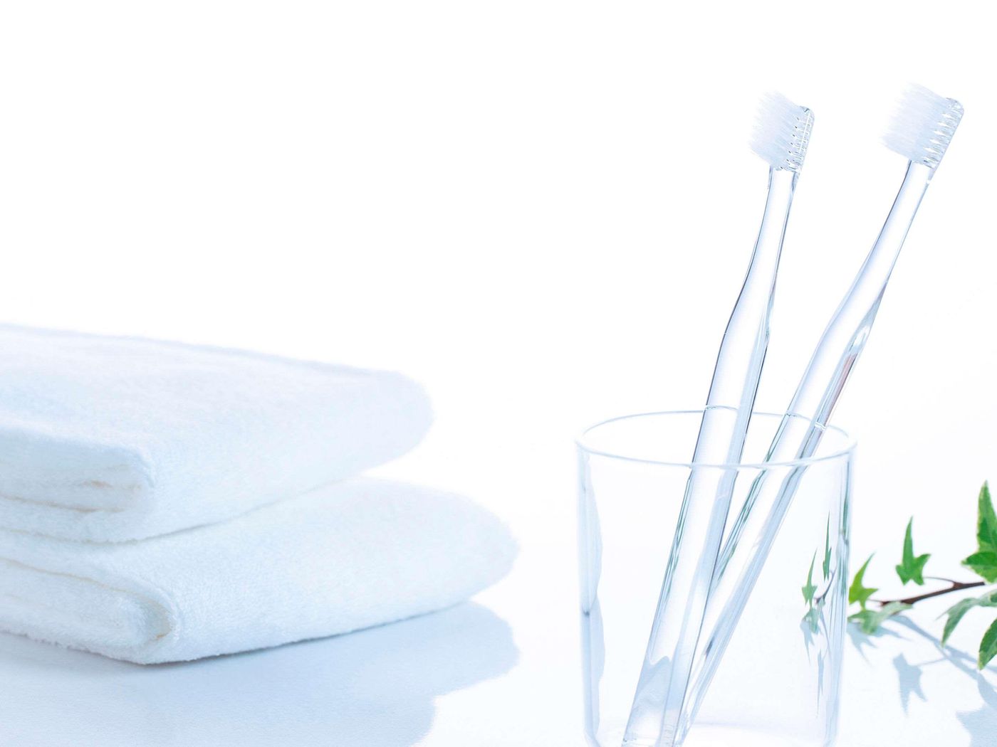 Comfort Inn Tokyo Roppongi-Japan-Minato Ku-General view-5