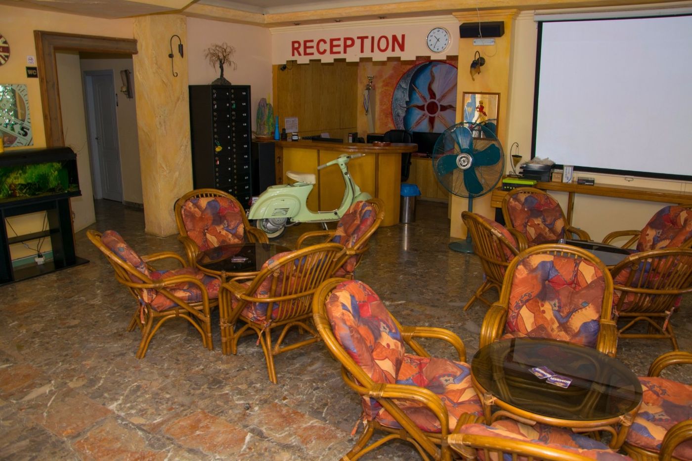 Olive Grove - Sidari