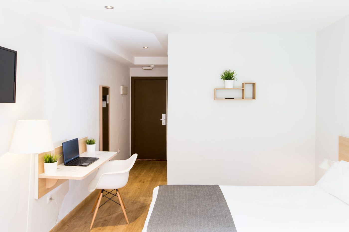 Rooms Ciencias - Spain - VALENCIA - Room - 1