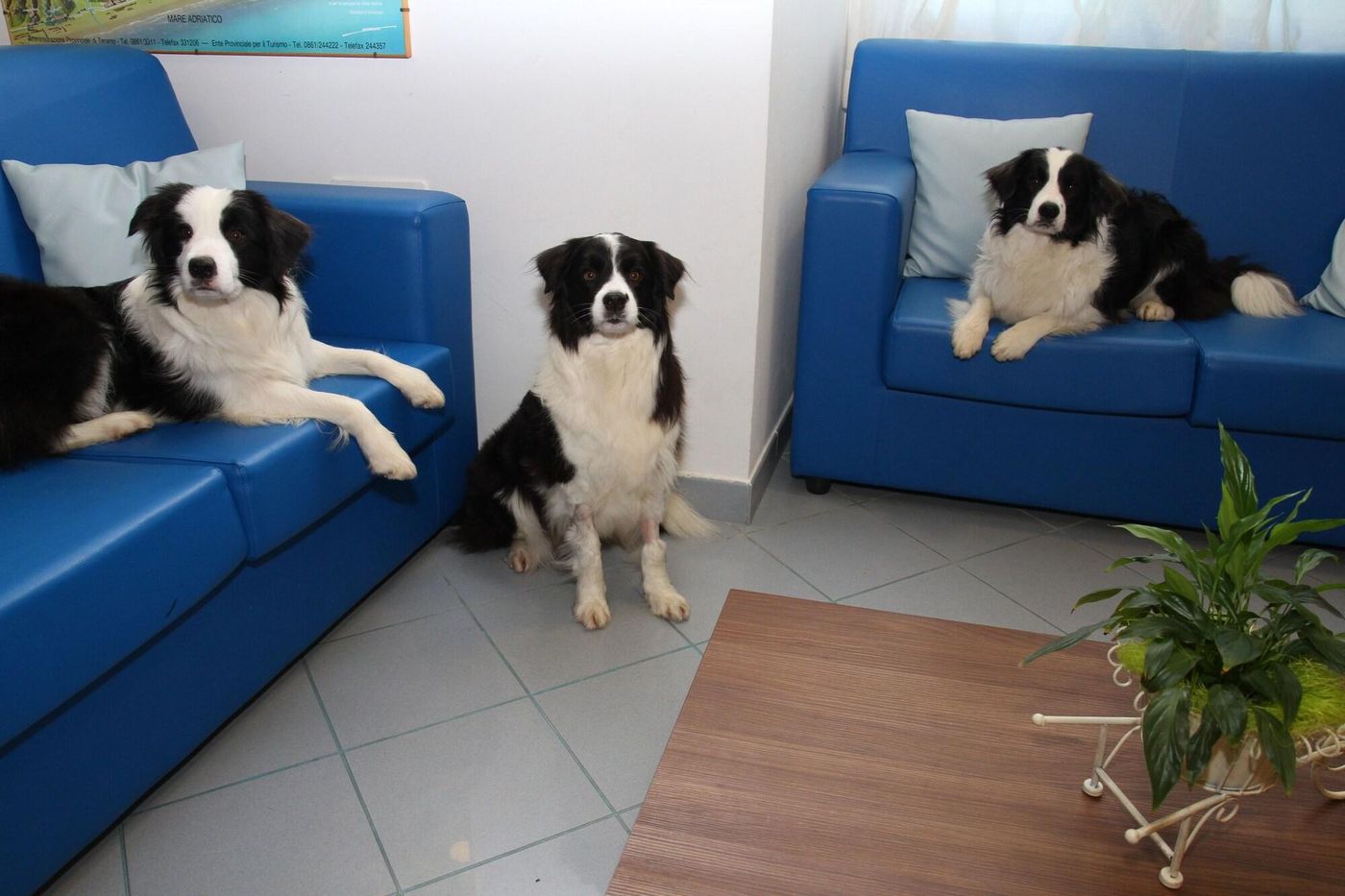 Hotel-Marina-Room-12