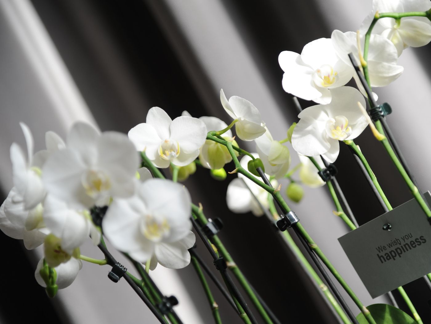 Brasil-Suites-General-view-18