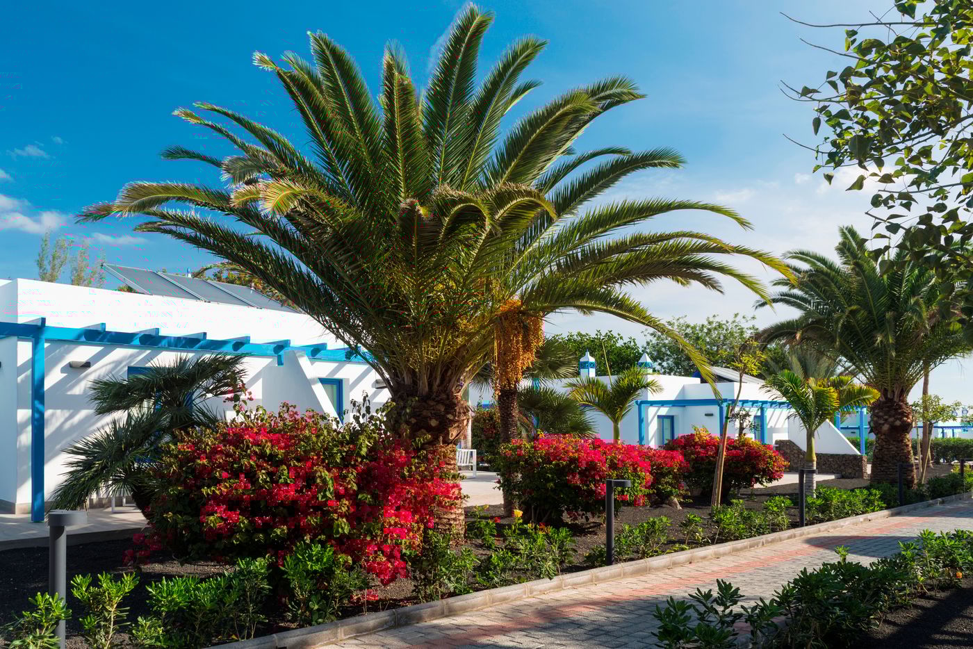 Elba - Lanzarote Royal Village Resort