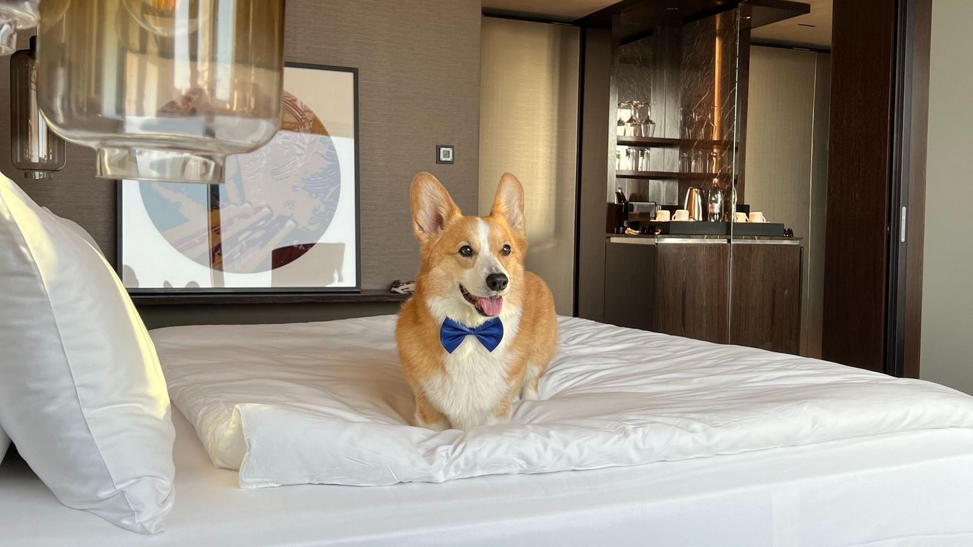 InterContinental Ljubljana-Slovenia-LJUBLJANA-General view-7