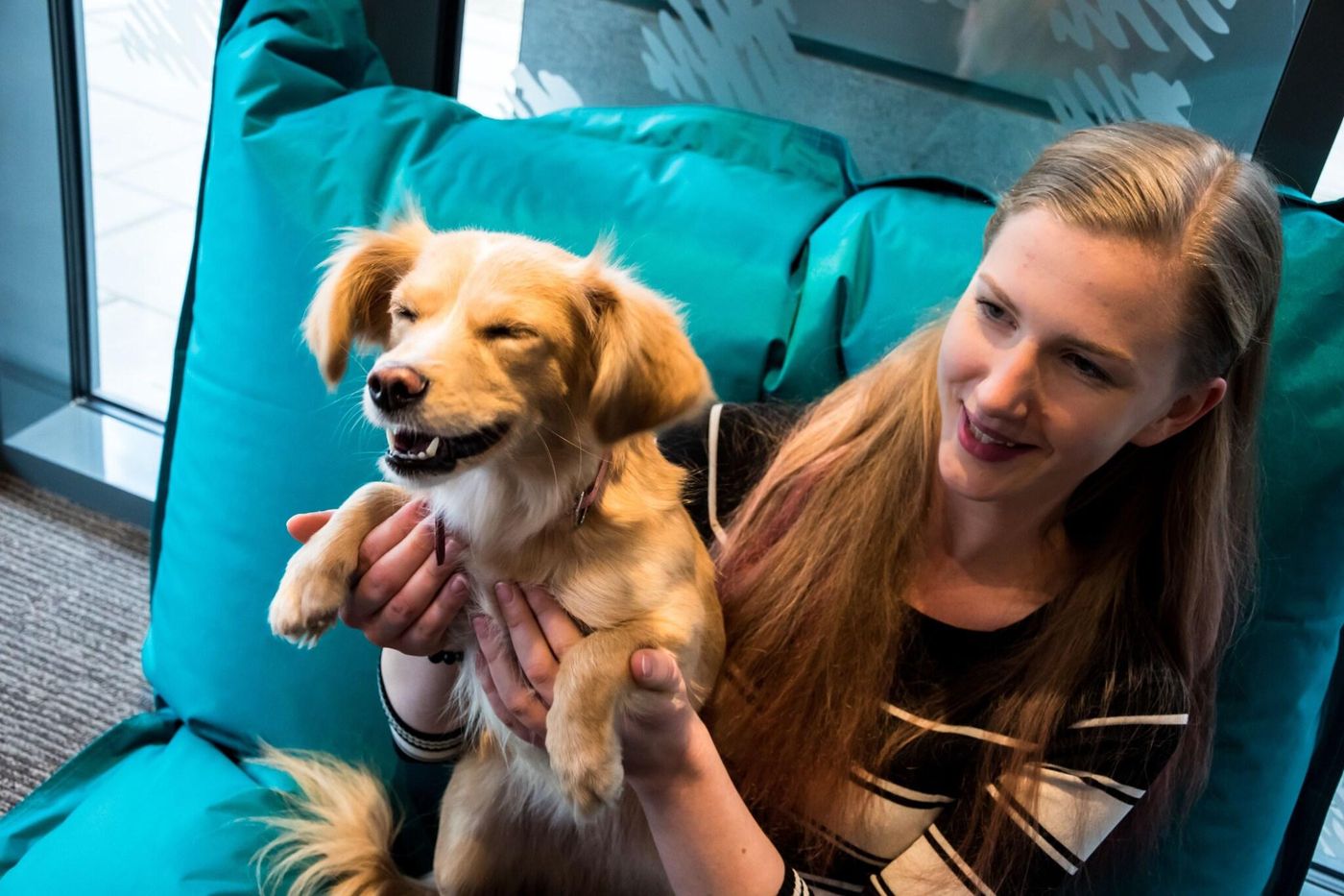 ibis Vilnius Centre-Lithuania-VILNIUS-General view-1