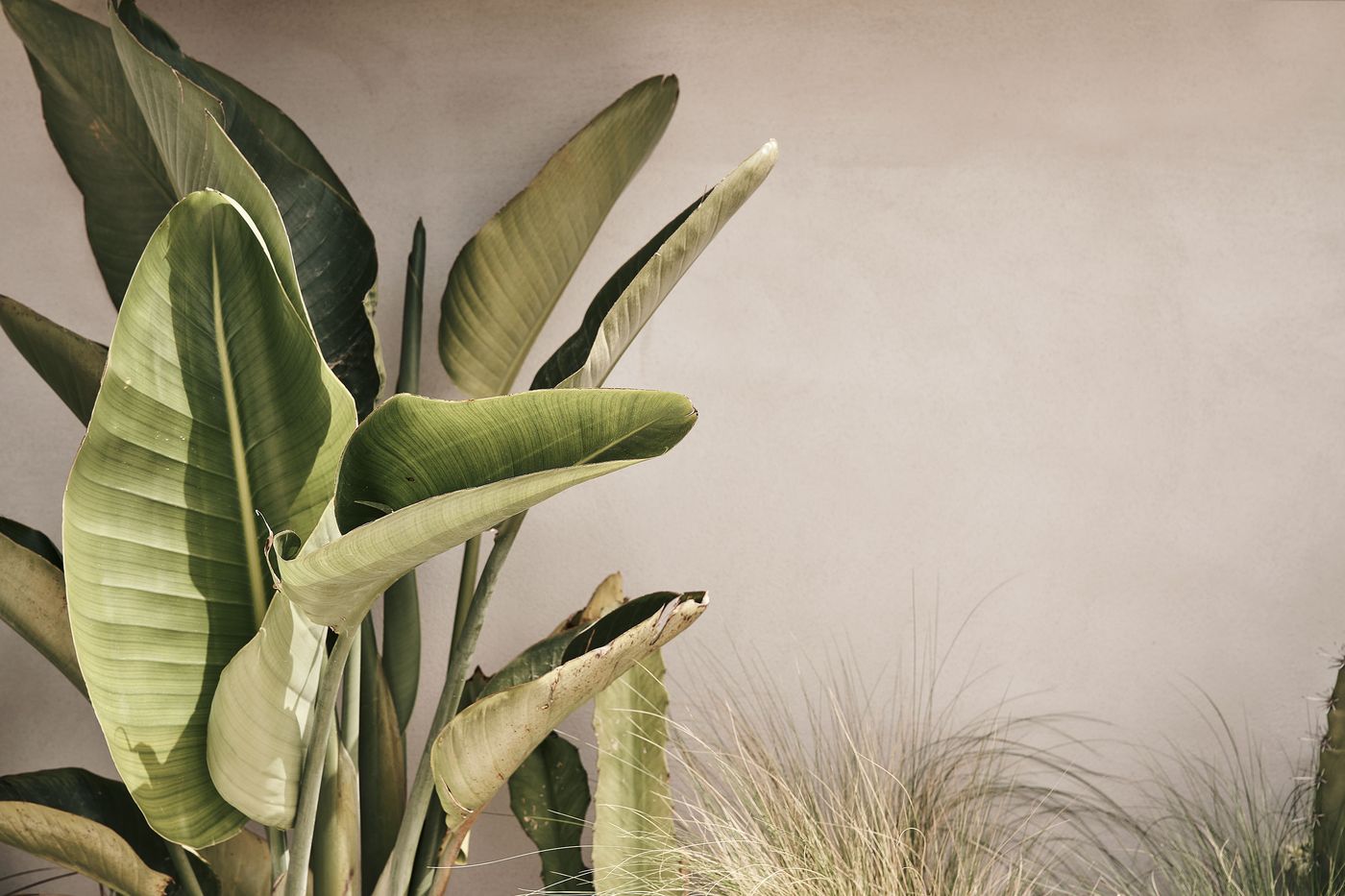 Amyth-of-Mykonos-Hotel-Lobby-40