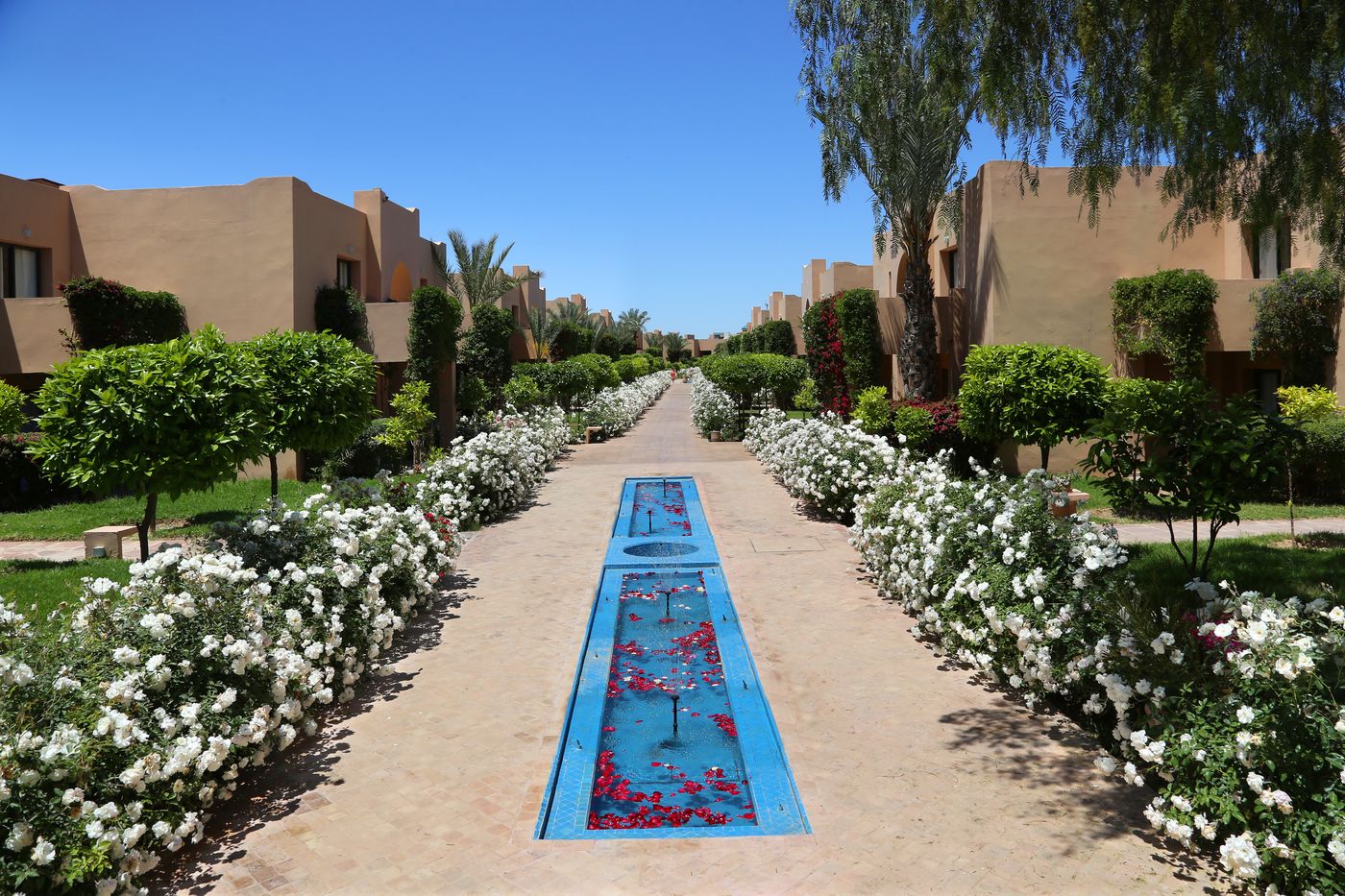 Valeria-Dar-Atlas-Resort-Terrace-13