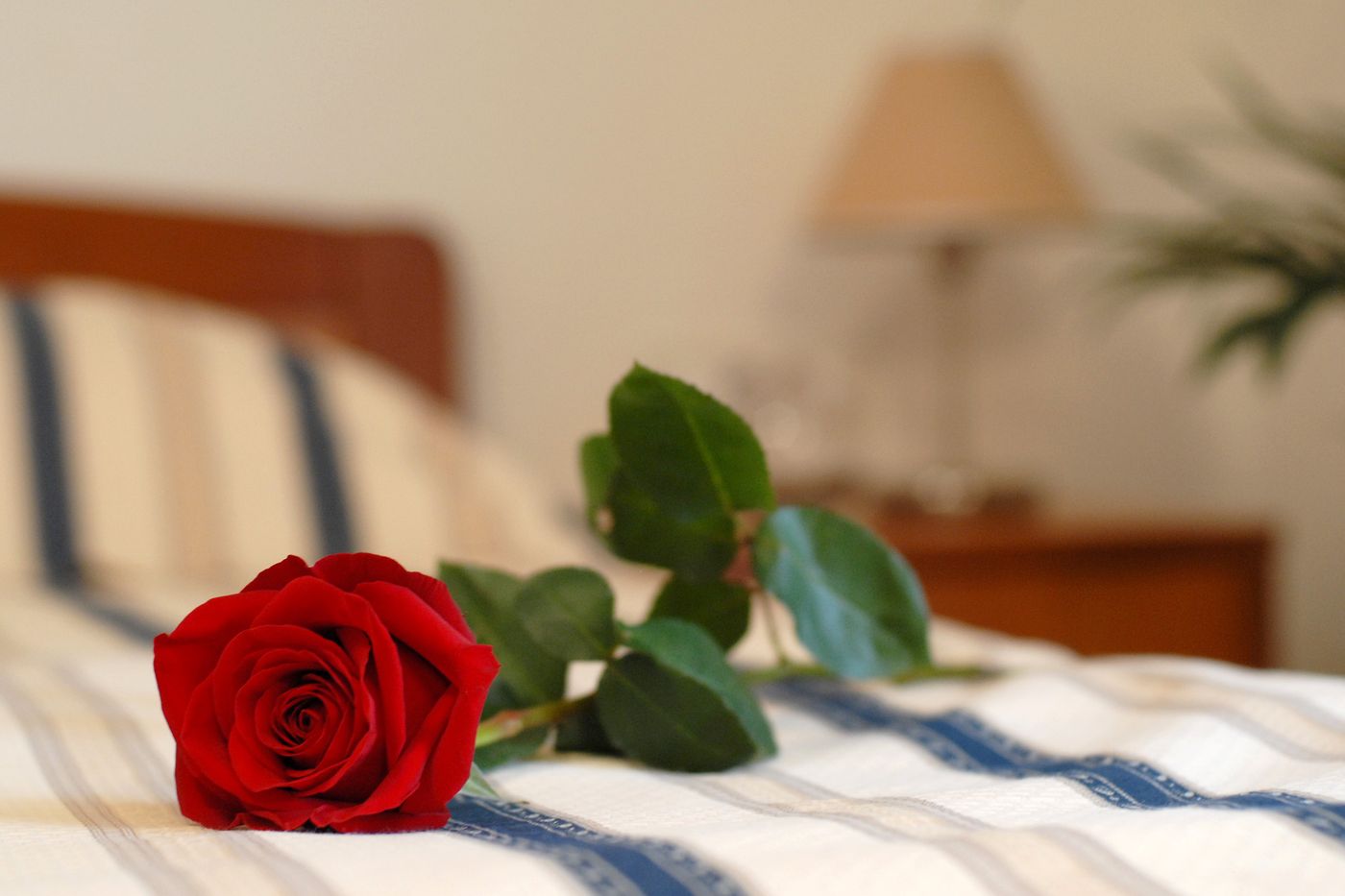 Hotel Rosina-Croatia-MAKARSKA-Room-8