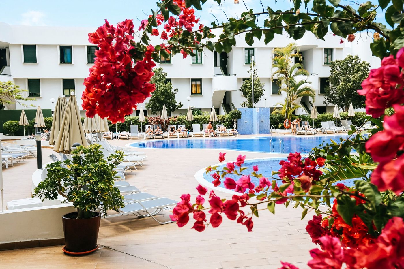 Coral-Suites---Spa---Adults-Only-Pool-8