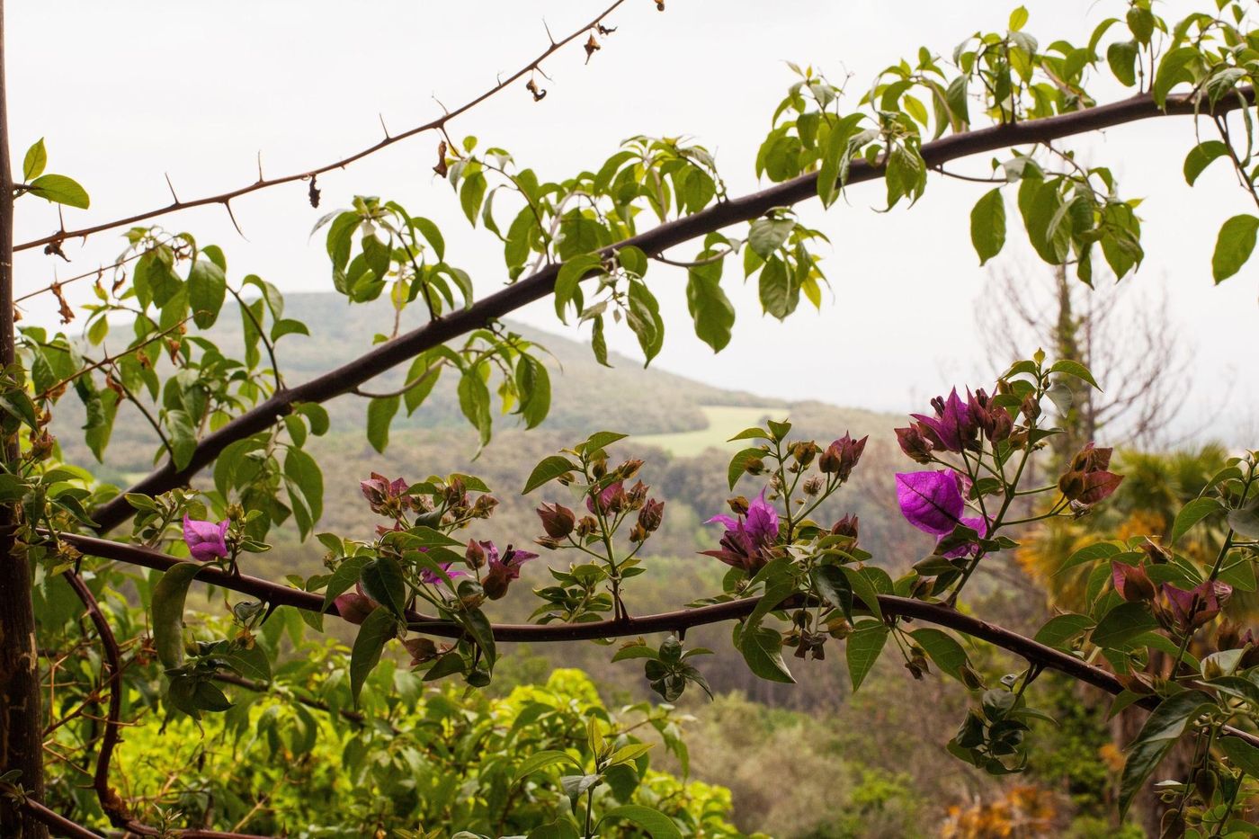 Masia-Can-Pou-General-view-36