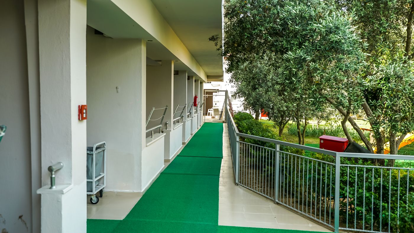 Catty Cats Garden Hotel