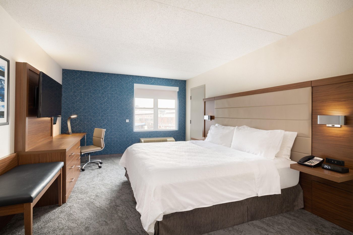 Holiday-Inn-Express---Suites-Boston---Cambridge-Room-16