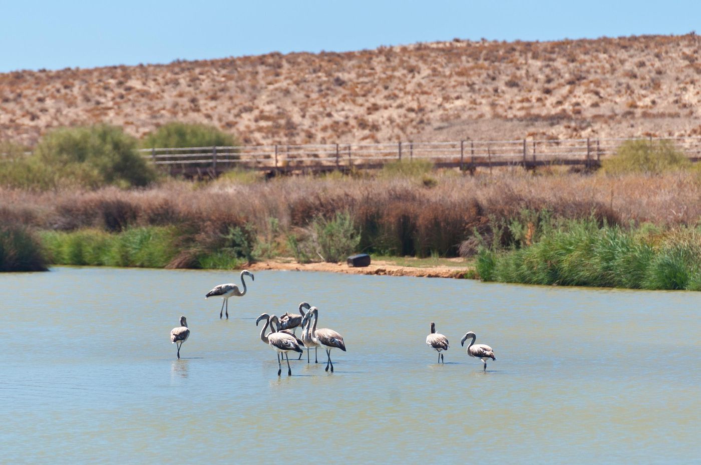 Villas-Barrocal-Beach-83