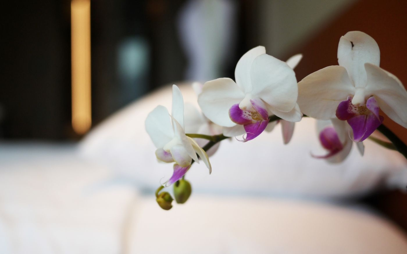 Dorsett-Kai-Tak-Room-33