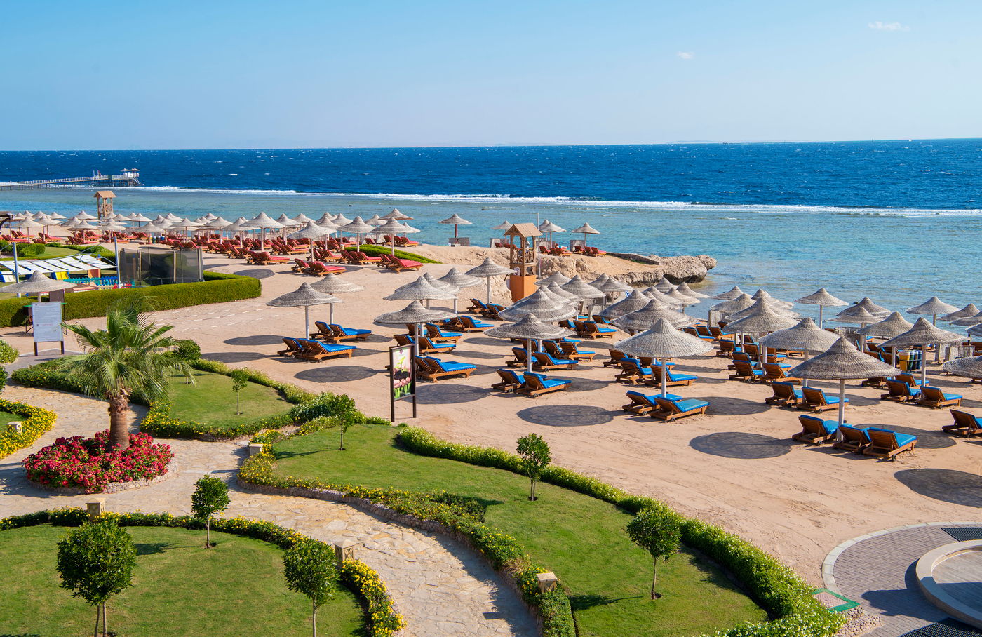 Charmillion Sea Life Sharm