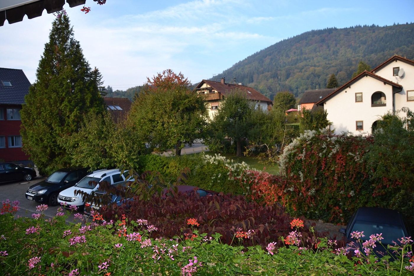 Gasthaus Auerhahn-Germany-BADEN-BADEN -General view-6