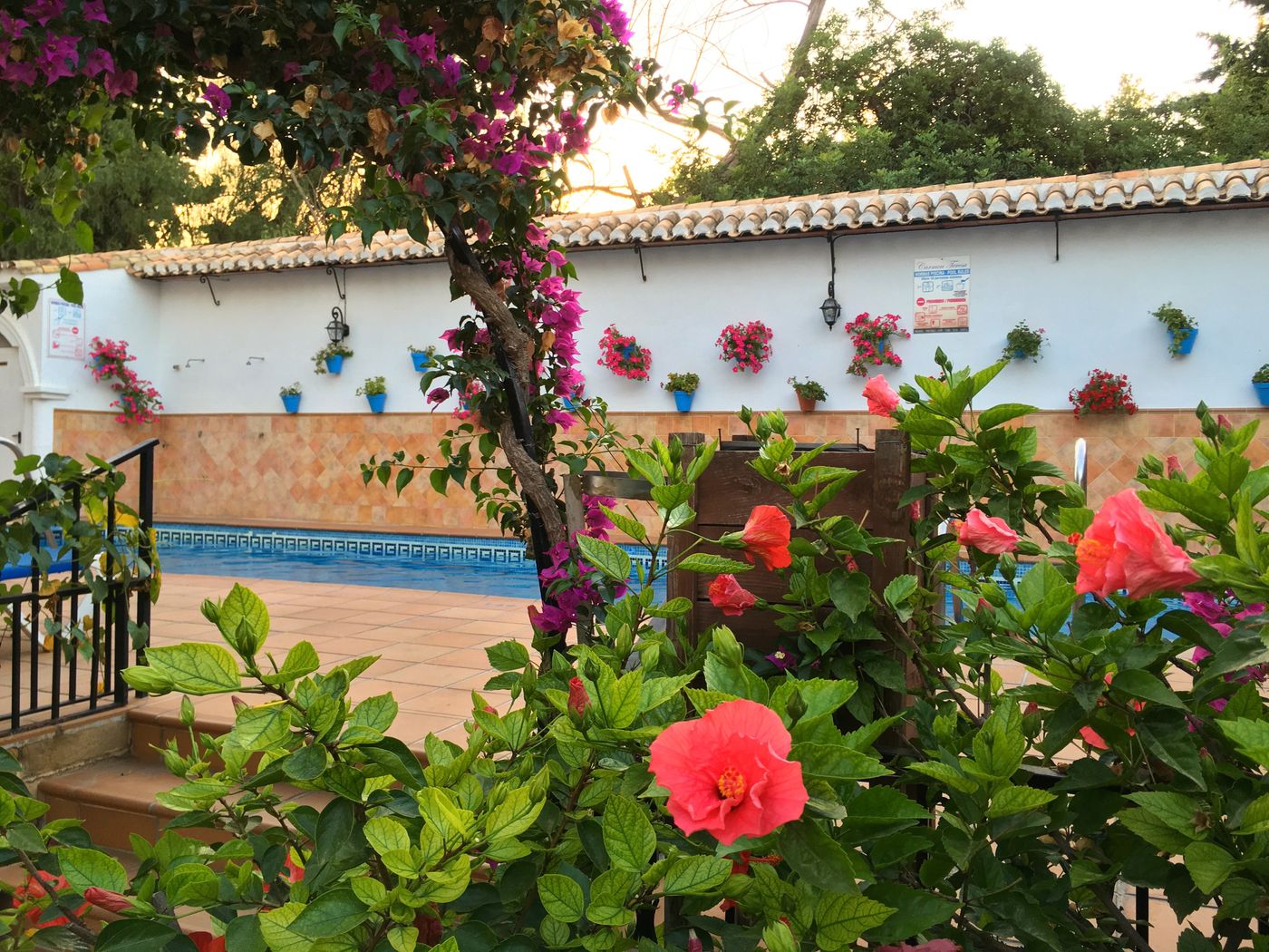 Carmen-Teresa-Pool-1