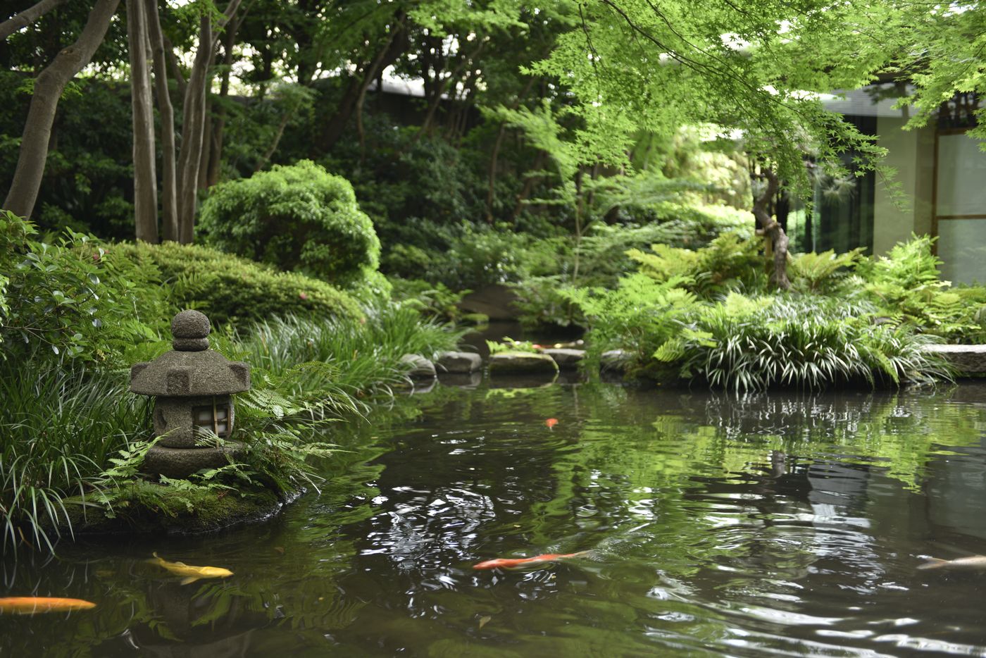 Royal Park Hotel, Tokyo-Japan-TOKYO-General view-1