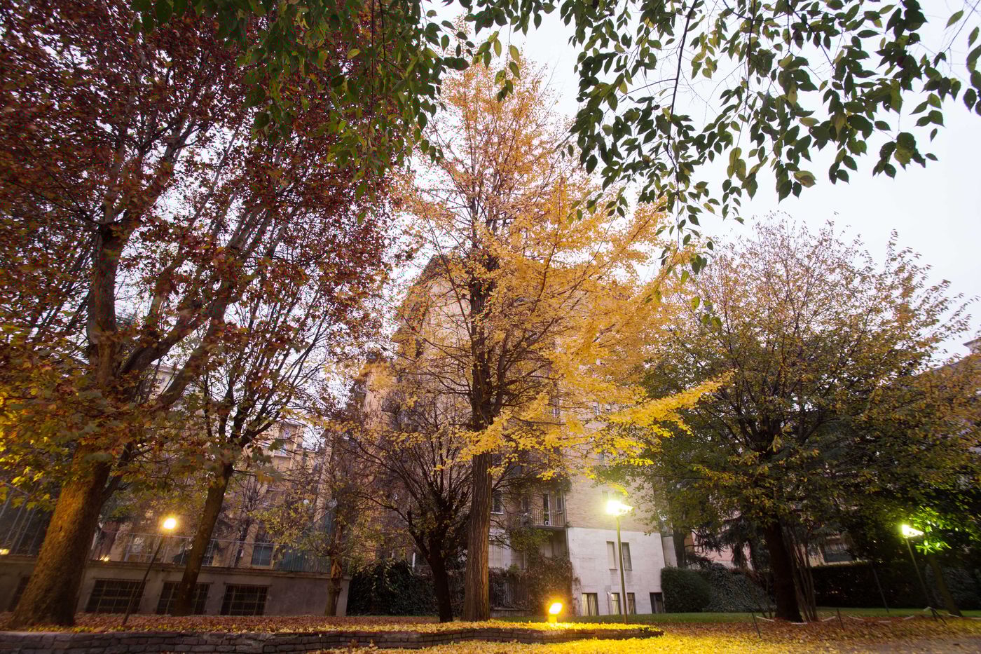 iH ApartHotel Milano Argonne Park - Italy - MILANO - General view - 4