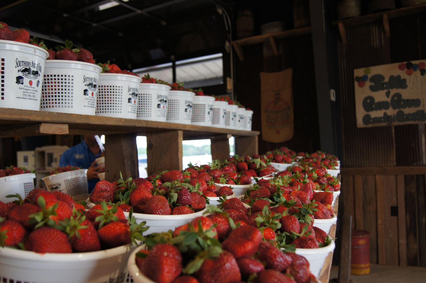 Hilton Garden Inn Atlanta Downtown-United States-ATLANTA-General view-8