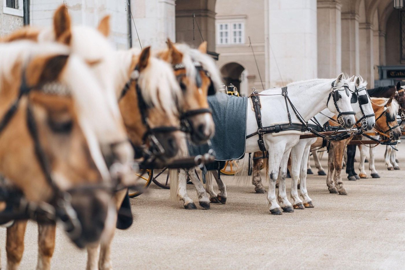 Goldener Hirsch-Austria-Salzburg-General view-3