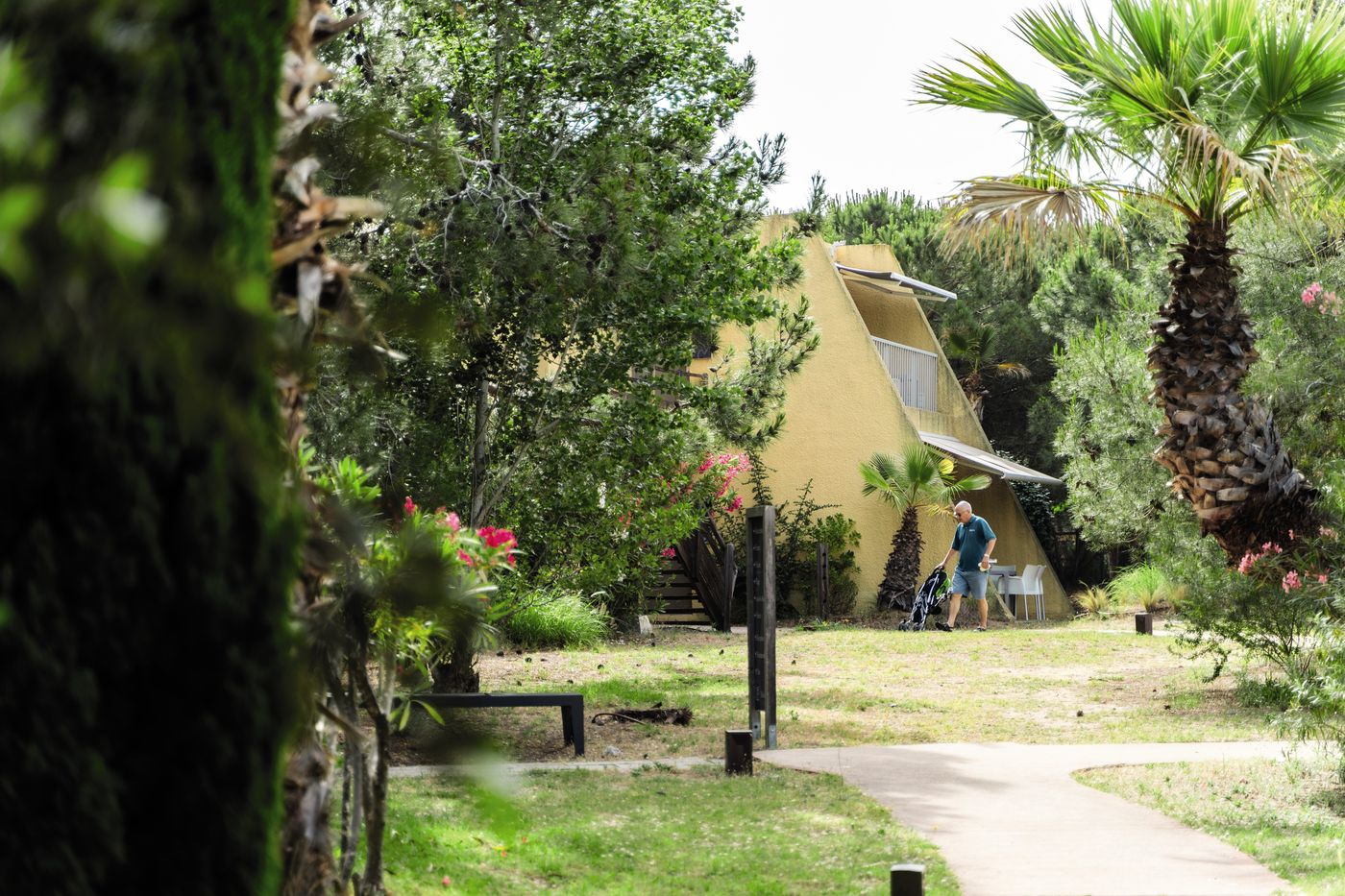 Belambra Clubs - Riviera Beach Club-France-HYERES-General view-3