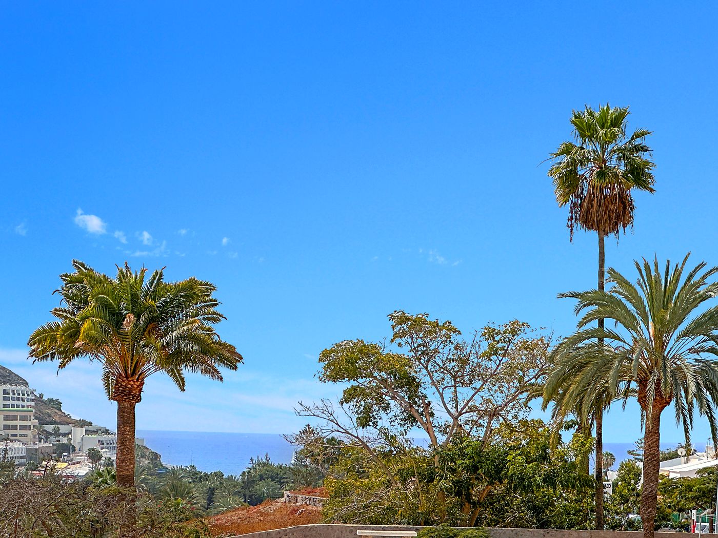 Laguna-Apartments-Lobby-6