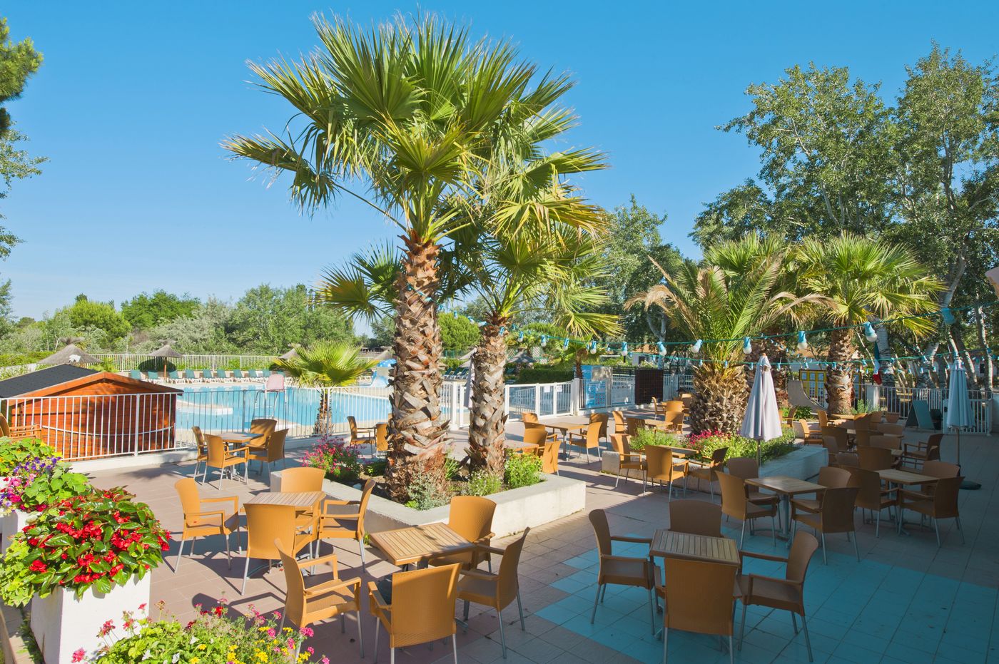 Residence Azureva Le Grau Du Roi - France - Le Grau-du-Roi - General view - 1