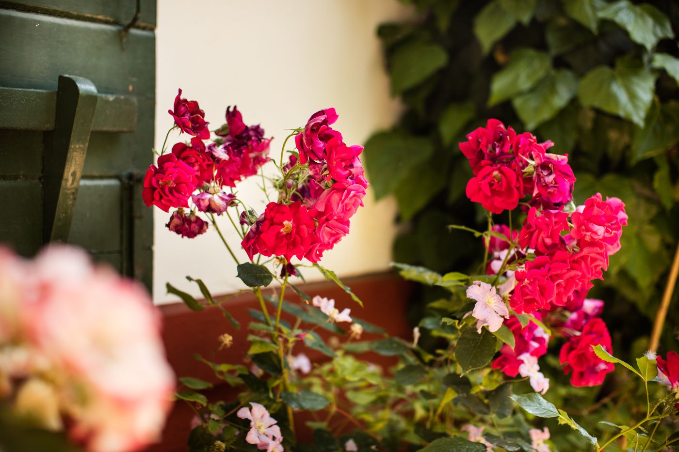 Residenza-d-Epoca-Albergo-Quattro-Fontane-Terrace-52