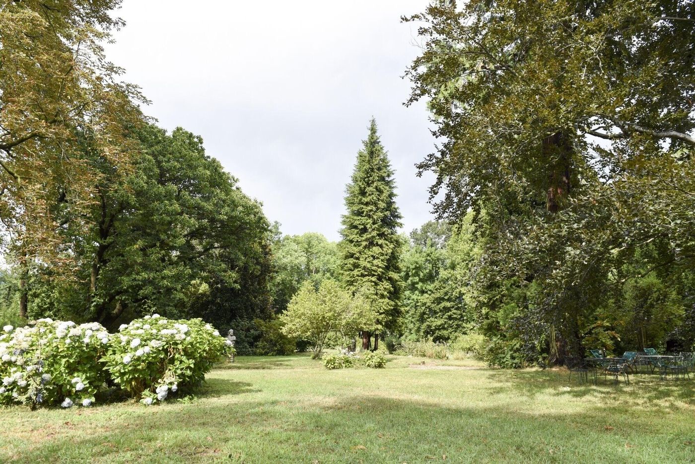 Dandelion Como Suites & Park-Italy-Villa Guardia-General view-3