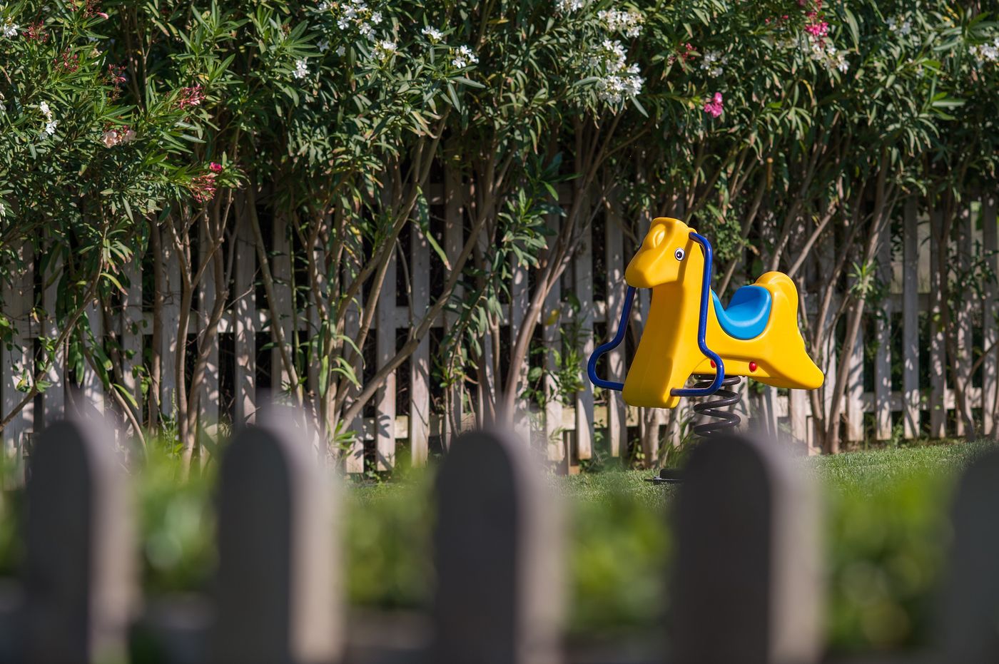 Cretan-Dream-Royal-Hotel-Sports-and-Entertainment-69