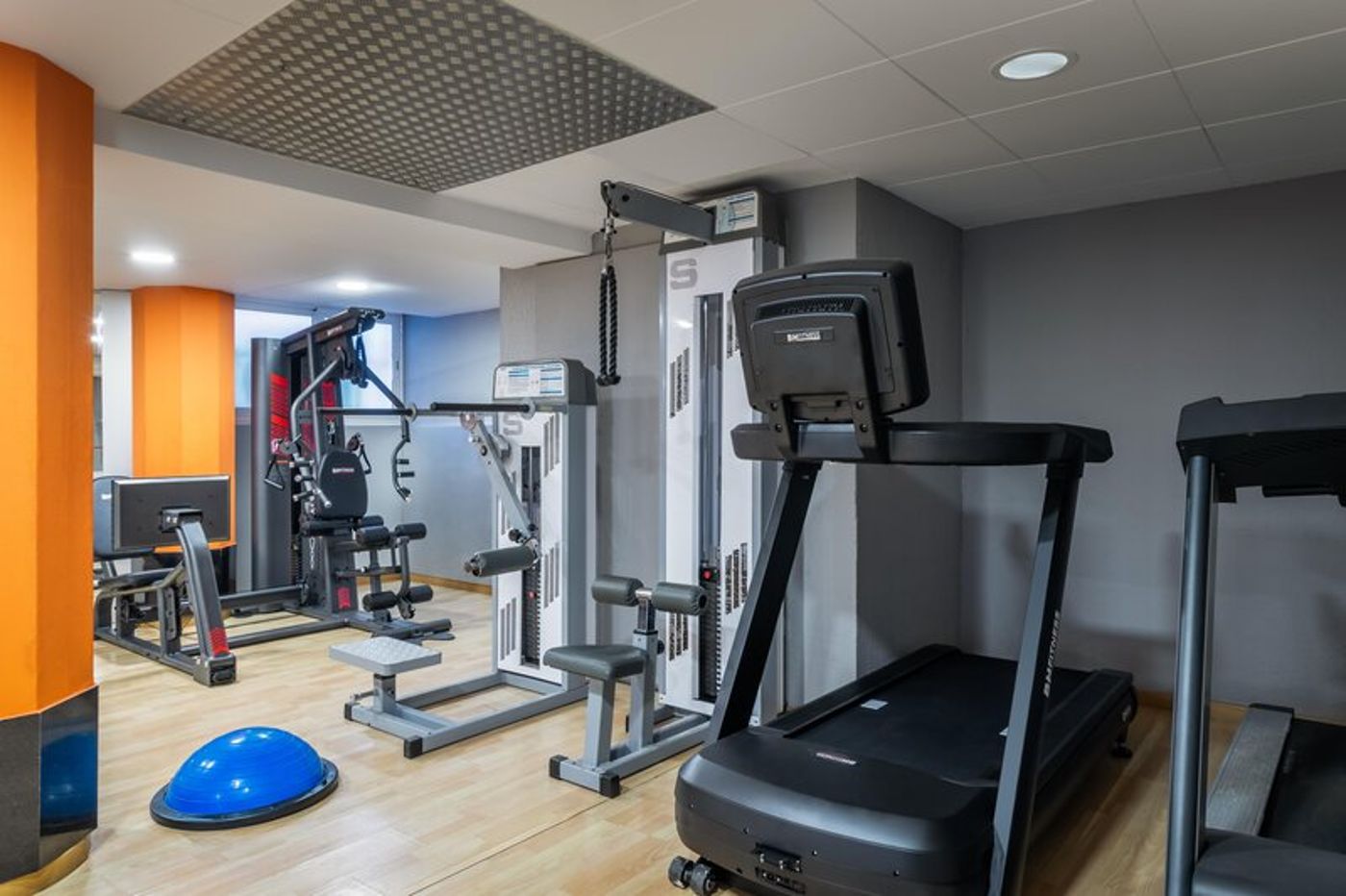 02.02.26 ALEGRIA El Mar