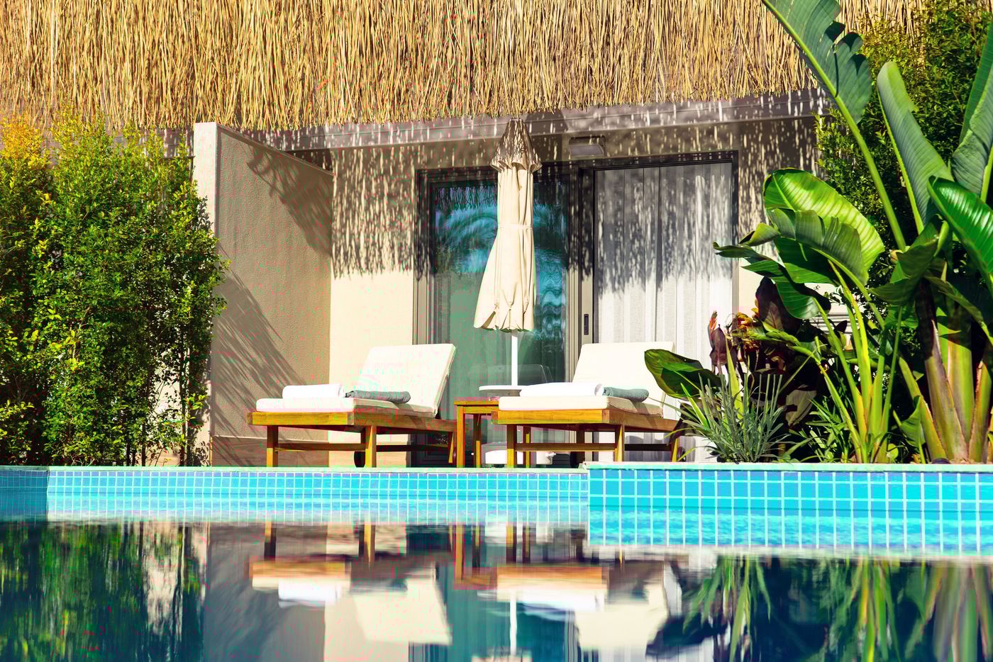 02/09/24 - Royal Wings Hotel